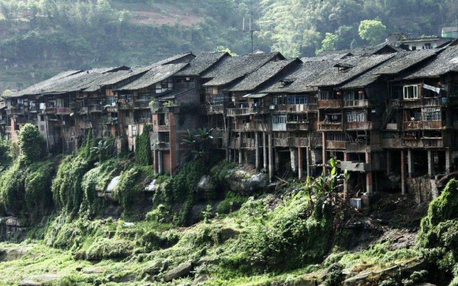 小猫钓鱼游戏龙王版有船