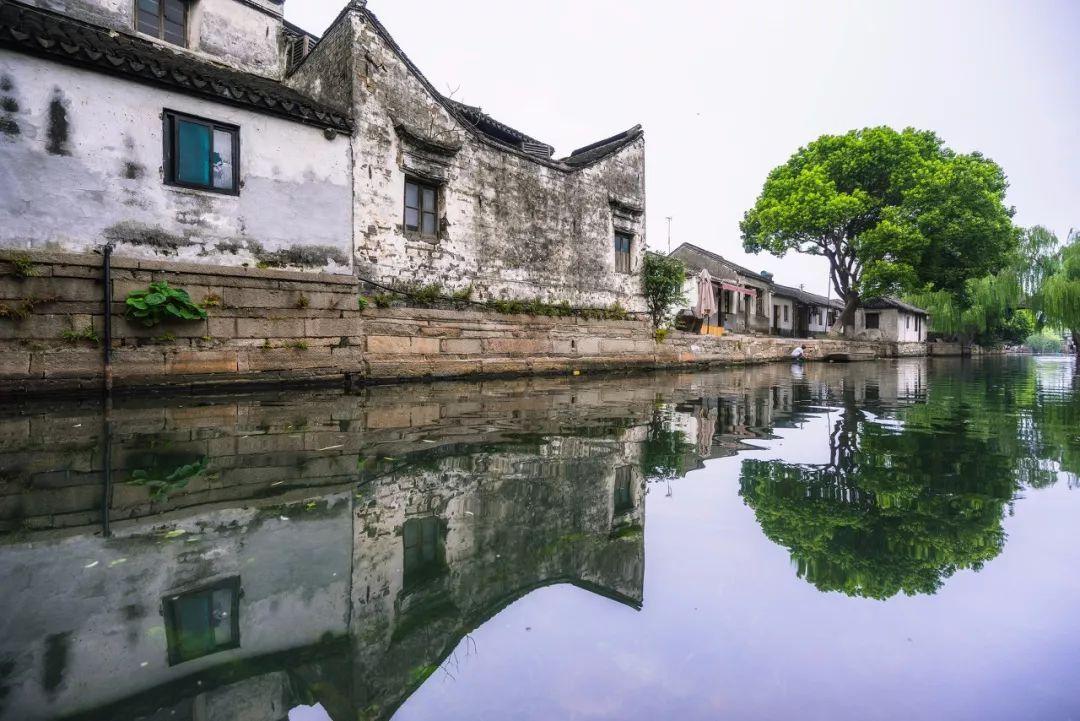 虫虫助手下载